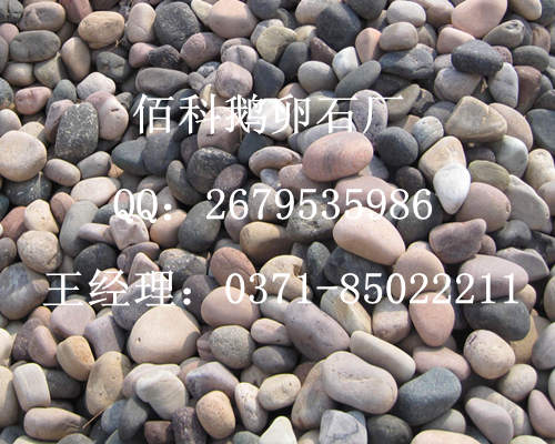 佰科鹅卵石厂储存白色5-8公分变压器鹅卵石场地