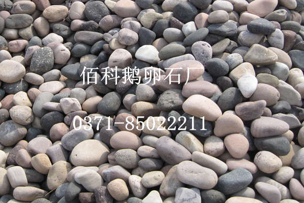 佰科鹅卵石厂家大量批发供应天然鹅卵石