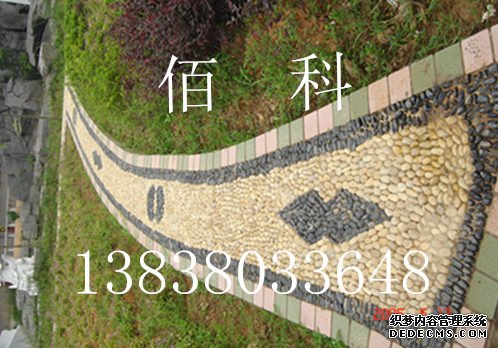 鹅卵石与砾石有什么区别?
