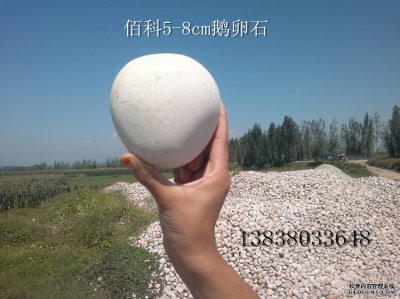 佰科5-8cm（公分）鹅卵石