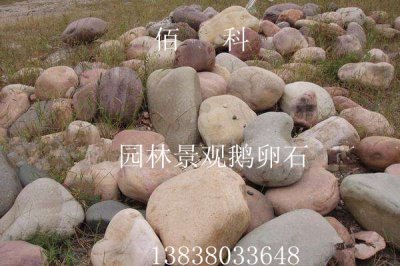 园林景观鹅卵石生产厂家